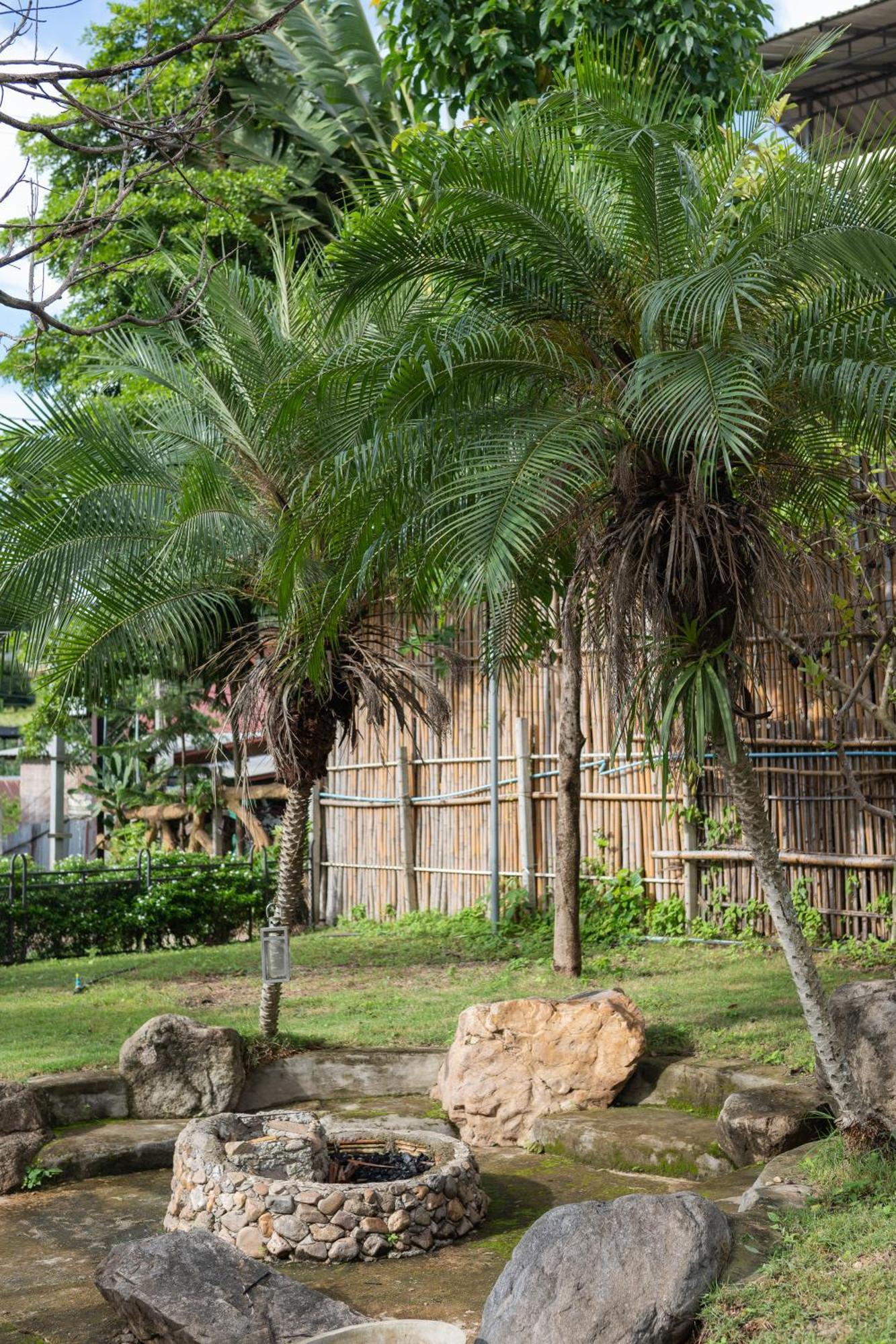 Homestay 365 - Connect Garden